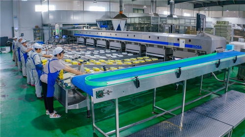 從婷婷農(nóng)副產(chǎn)品產(chǎn)銷模式,窺見(jiàn)海安禽蛋養(yǎng)殖一體化的奧秘