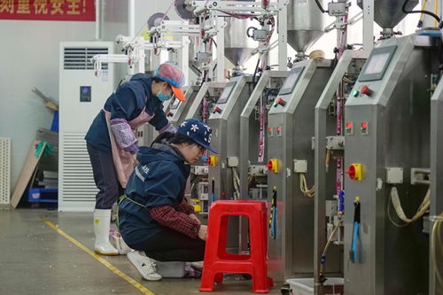 港北區打造高品質寵物飼料，擦亮農業產業品牌